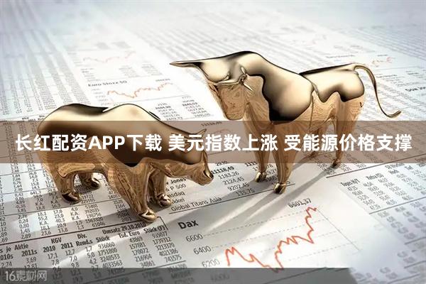 长红配资APP下载 美元指数上涨 受能源价格支撑