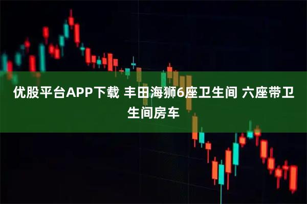优股平台APP下载 丰田海狮6座卫生间 六座带卫生间房车