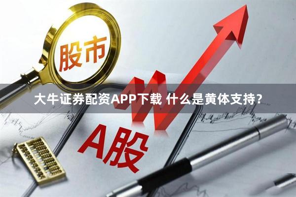 大牛证券配资APP下载 什么是黄体支持？